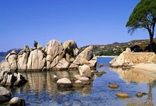 7m的图片是多大-九游会